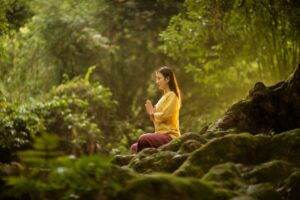 Read more about the article Forest Bathing Benefits: Shinrin-Yoku for Stress Relief