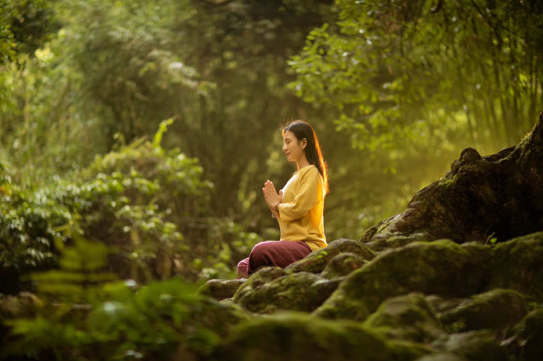 You are currently viewing Forest Bathing Benefits: Shinrin-Yoku for Stress Relief