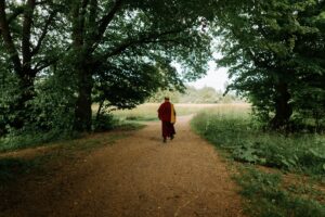 Read more about the article Mindful Walking: Pilgrimage as Moving Prayer