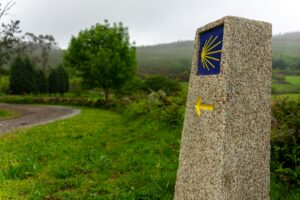 Read more about the article Camino de Santiago: A Pilgrim’s Guide