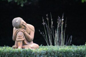 Read more about the article Mindful Photography: The Art of Seeing Slowly
