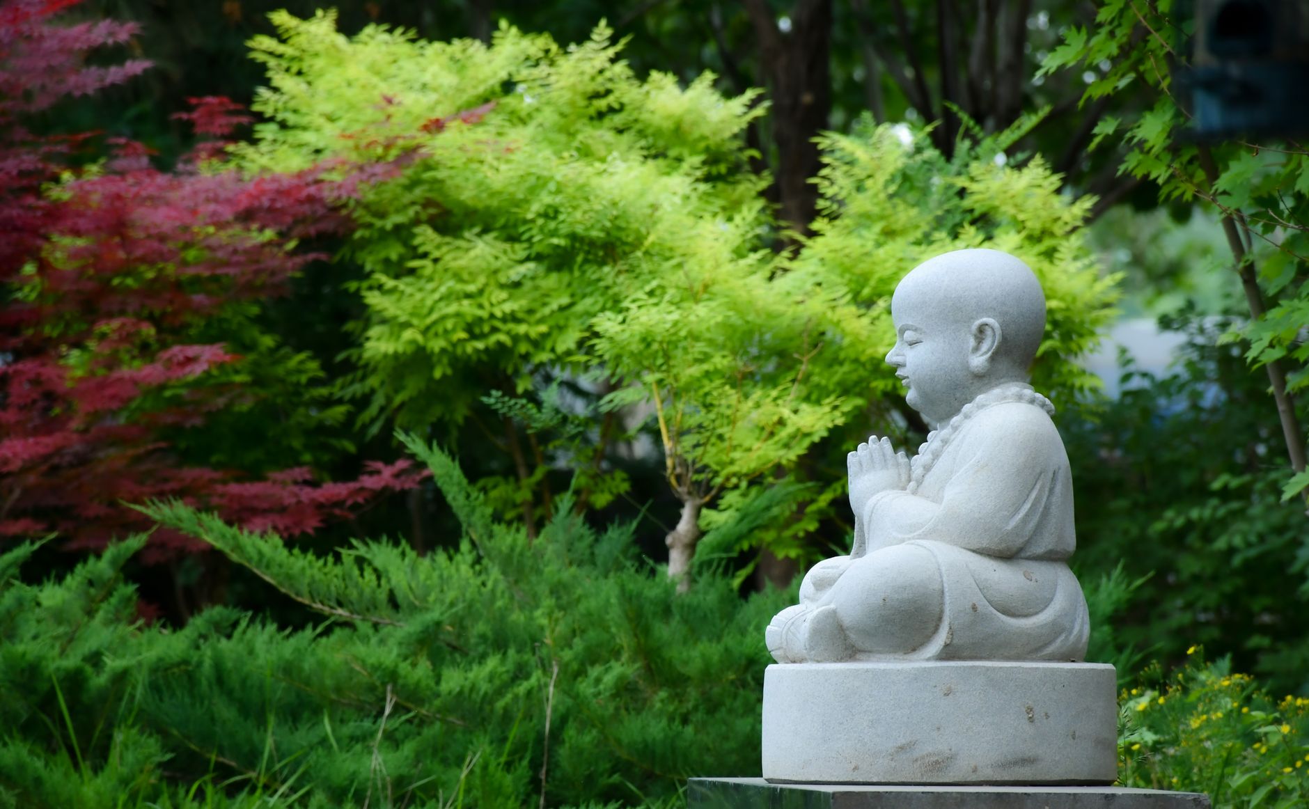 You are currently viewing Sacred Gardens to Wander: A Pilgrim’s Guide